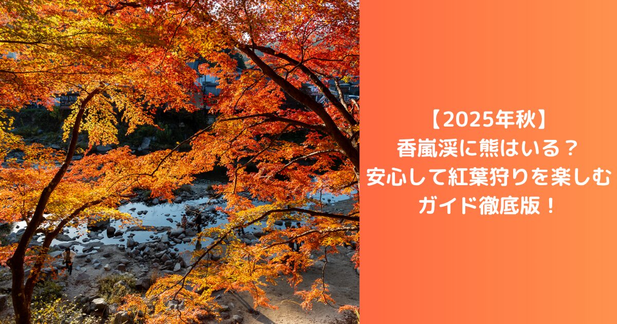 【2025年秋】香嵐渓に熊はいる？安心して紅葉狩りを楽しむガイド徹底版！
