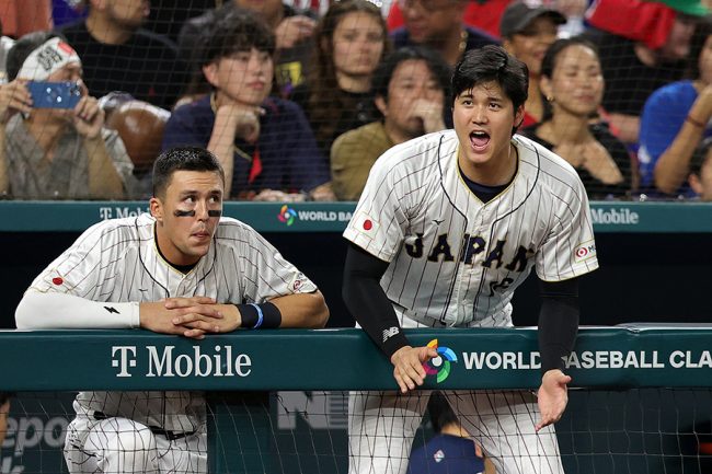 ヌートバー,WBC2026,選出外,なぜ