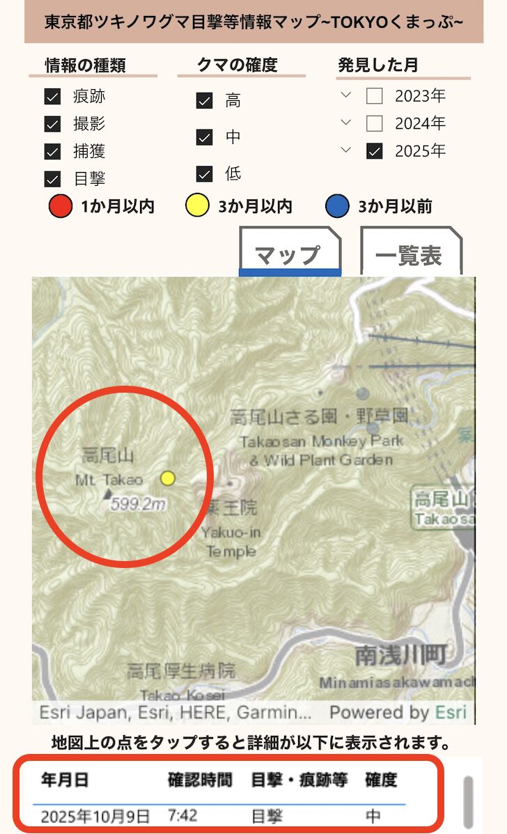 高尾山,熊,熊いる？,登山,紅葉