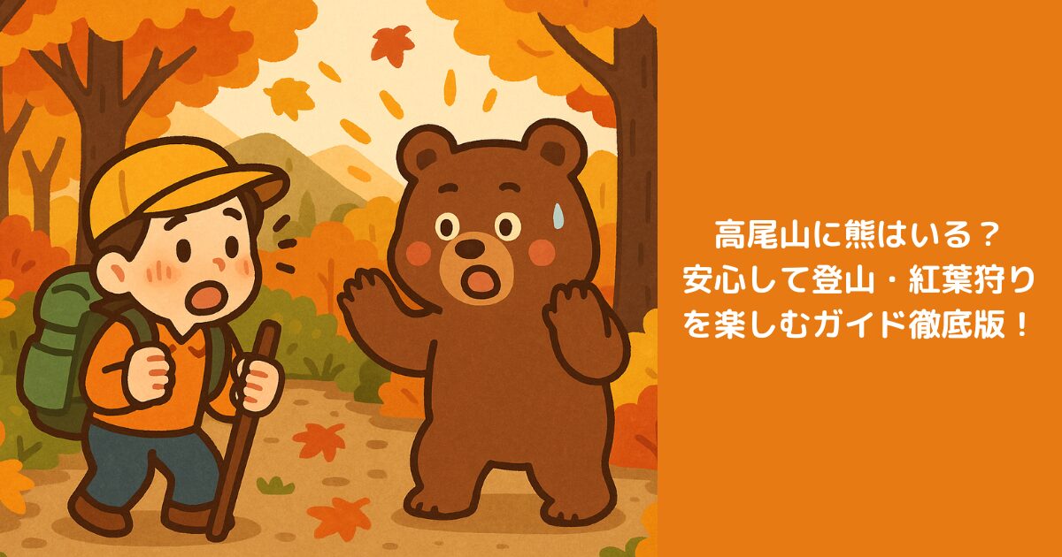 高尾山に熊はいる？安心して登山・紅葉狩りを楽しむガイド徹底版！