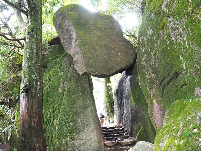 筑波山,紅葉,時期,見頃,いつ