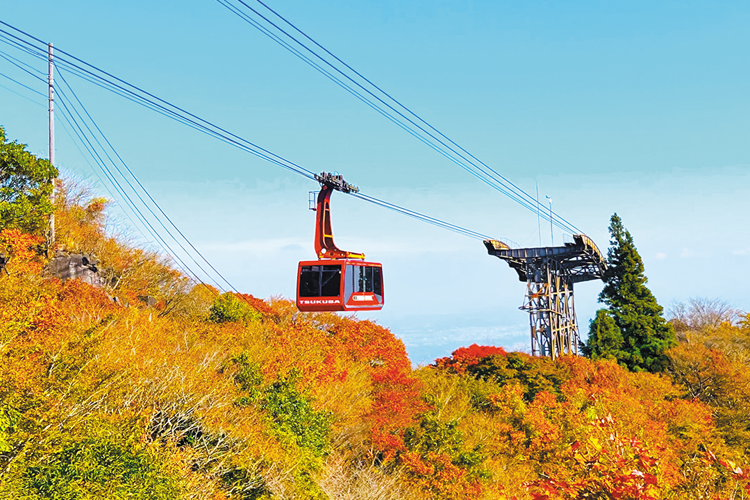 筑波山,紅葉,時期,見頃,いつ