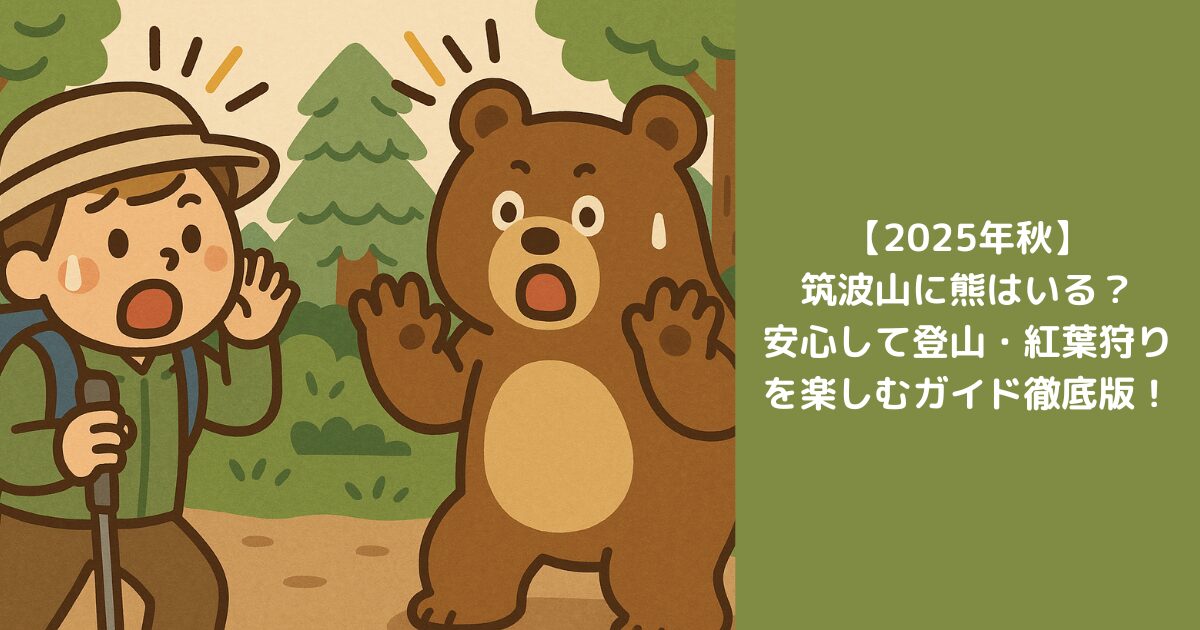 【2025年秋】筑波山に熊はいる？安心して登山・紅葉狩りを楽しむガイド徹底版！